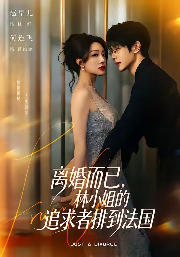 离婚而已，林小姐的追求者排到法国(全集)
